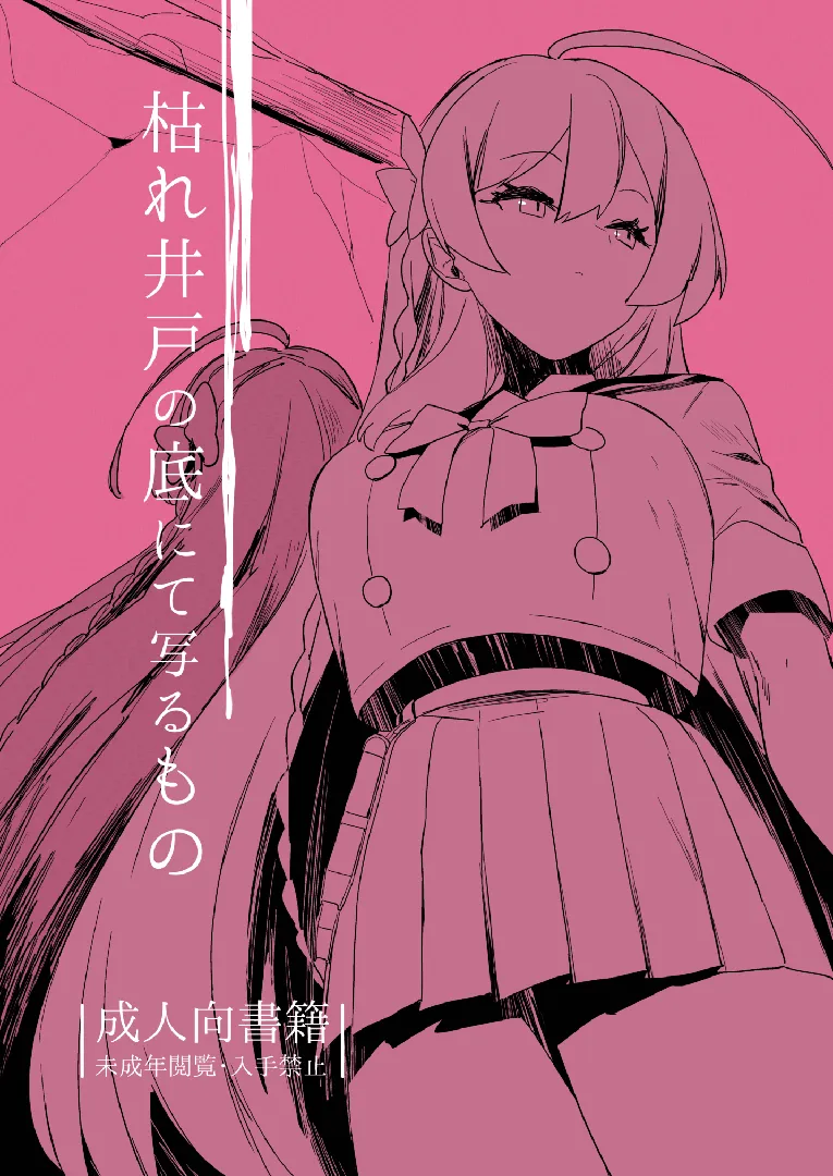 (C104) [るがおハウス (るがおっさん)] 枯れ井戸の底にて写るもの (ブルーアーカイブ) [DL版]