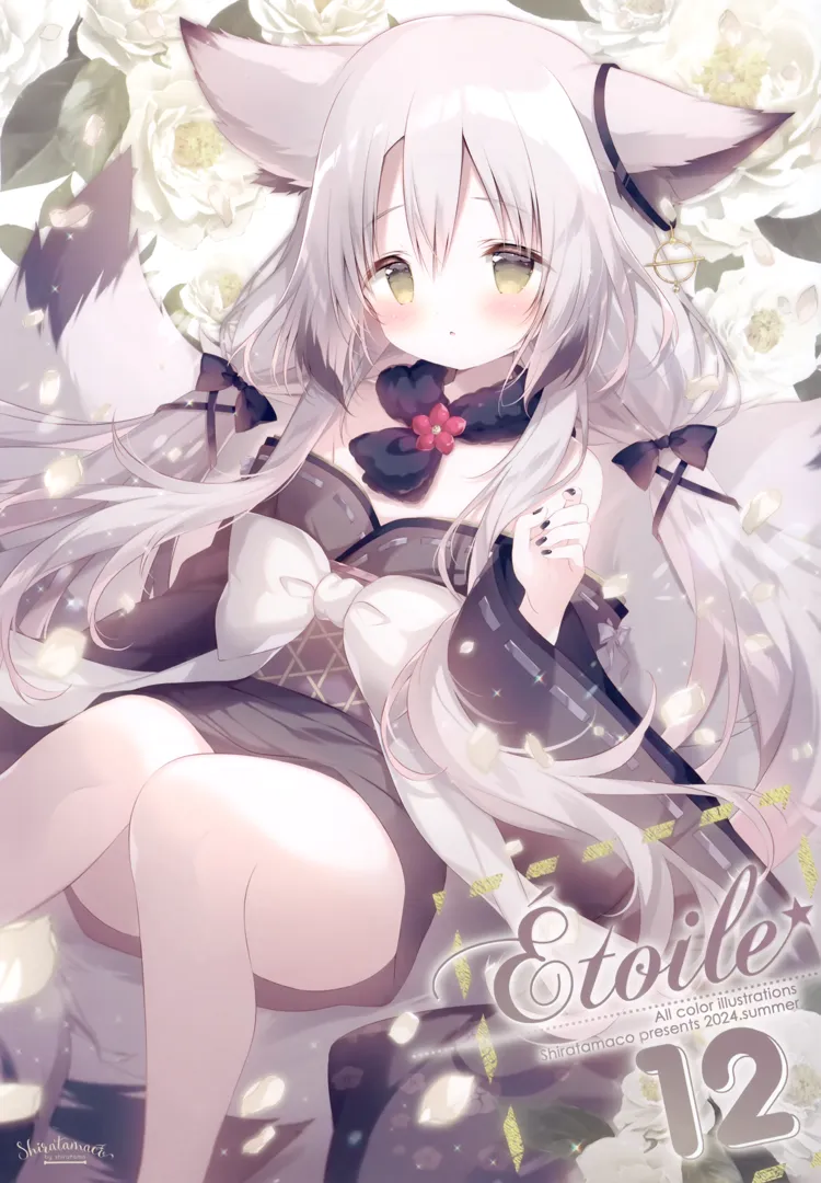 (C104) [しらたまこ (しらたま)] Étoile 12 (オリジナル)