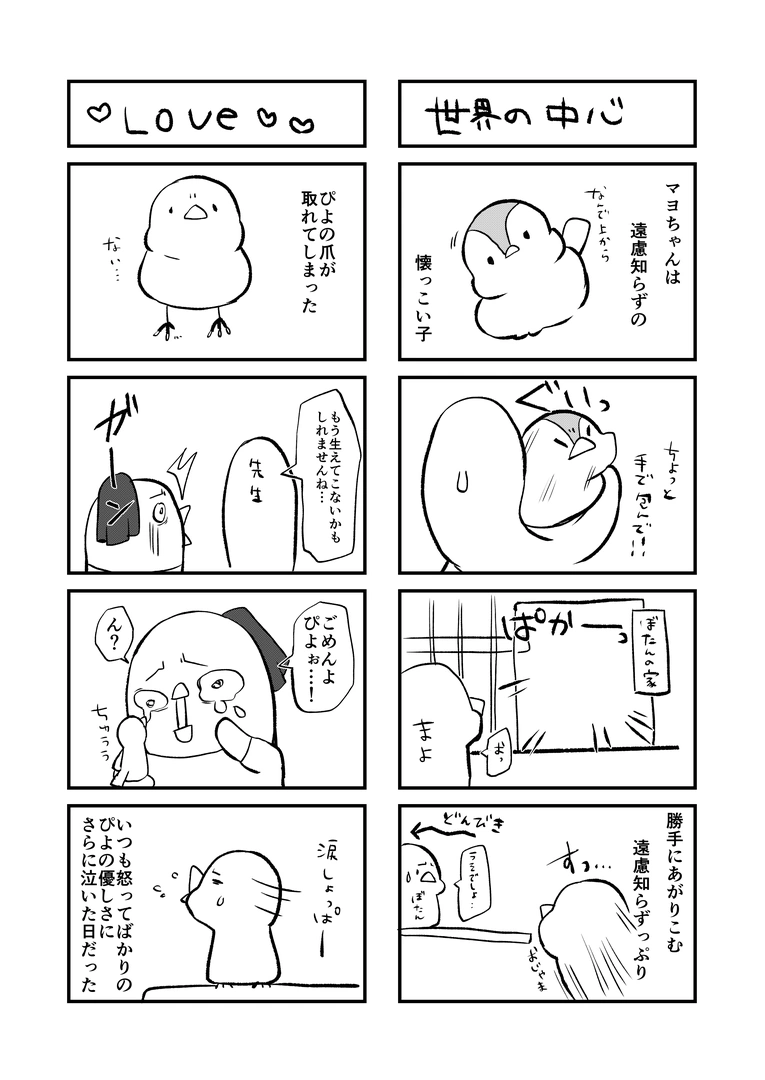31