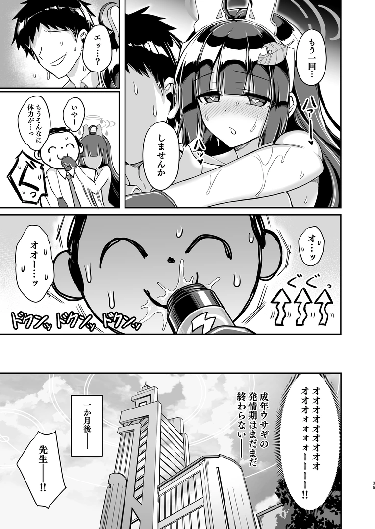 34