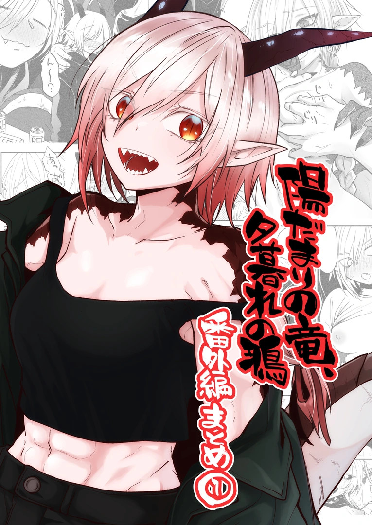 (同人誌) [縞浦堂 (縞浦)] 陽だまりの竜、夕暮れの鴉 番外編まとめ1 (オリジナル) [DL版]