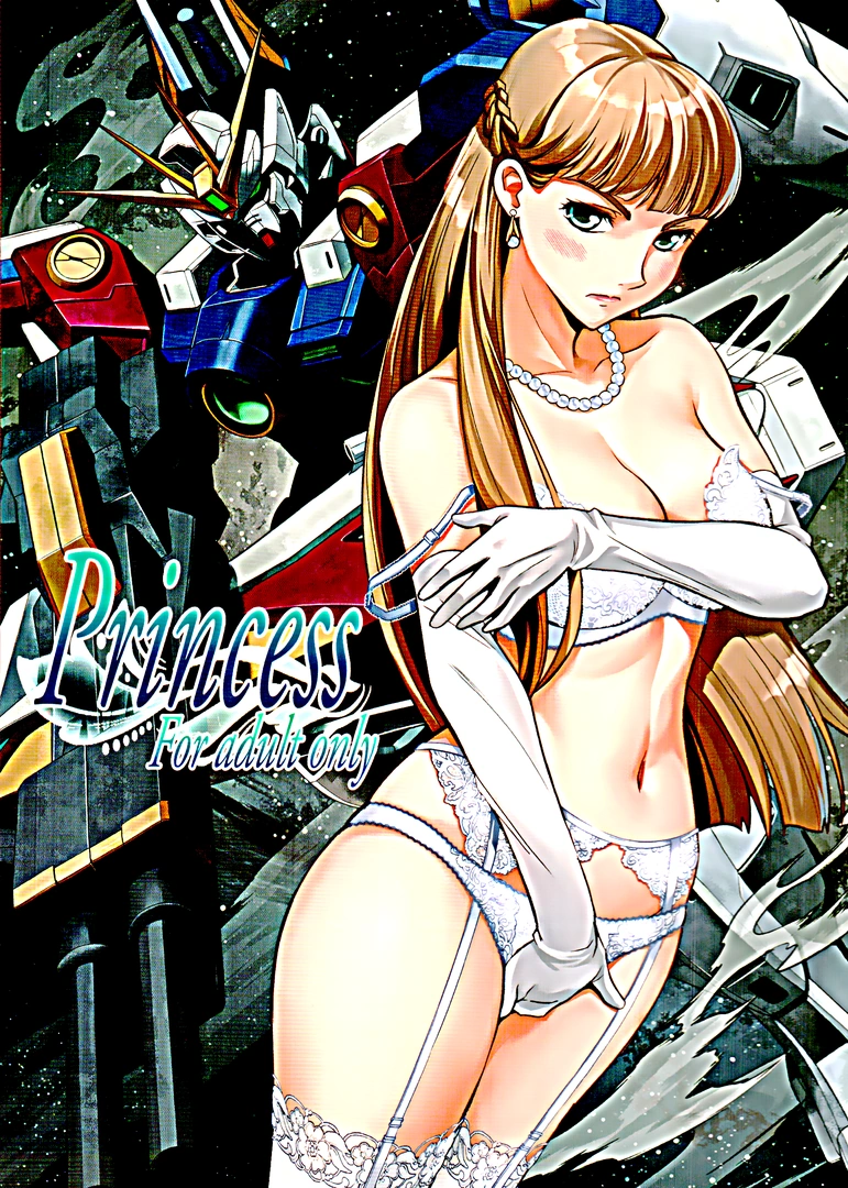 (C107) [メタボ喫茶異臭騒ぎ (いたちょう)] Princess (新機動戦記ガンダムW) | 同人村 - Hentai - Raw 