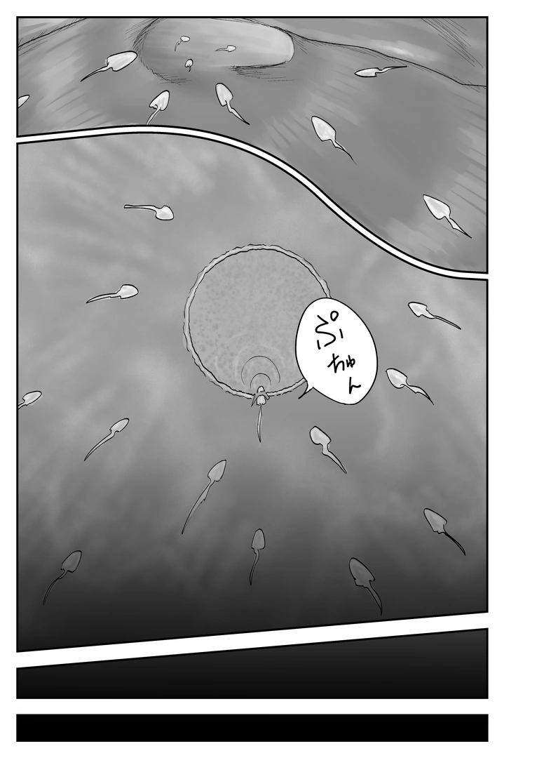 66